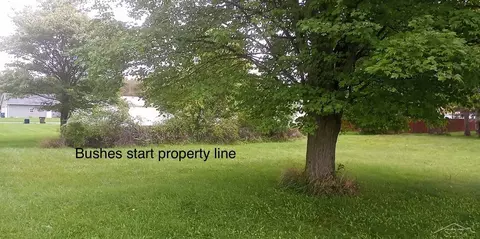0 Simons, Coleman, MI 48618 photo 3