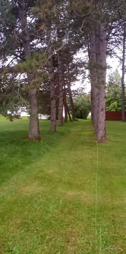 0 Simons, Coleman, MI 48618 photo 6
