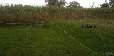 0 Simons, Coleman, MI 48618 photo 5
