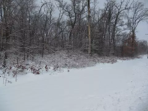 10 N Acres N Eberhart, Harrison, MI 48625