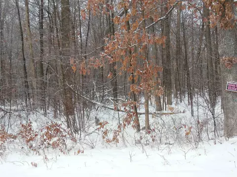 10 N Acres N Eberhart, Harrison, MI 48625 photo 6