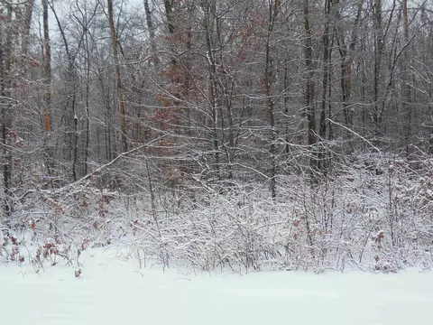 10 N Acres N Eberhart, Harrison, MI 48625 photo 4
