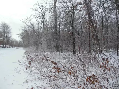 10 N Acres N Eberhart, Harrison, MI 48625 photo 2