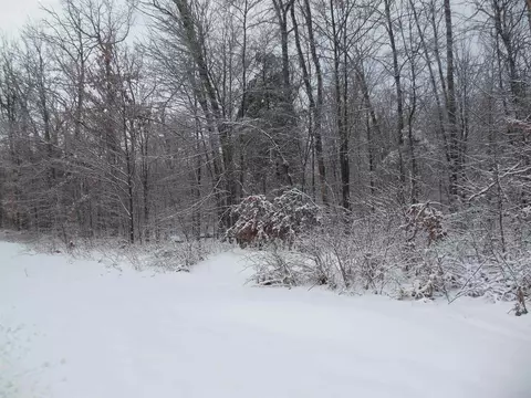 10 N Acres N Eberhart, Harrison, MI 48625 photo 8