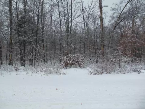 10 N Acres N Eberhart, Harrison, MI 48625 photo 3