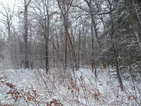 10 N Acres N Eberhart, Harrison, MI 48625 photo 7