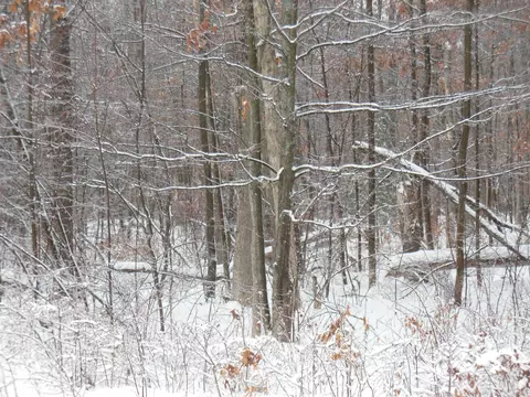 10 N Acres N Eberhart, Harrison, MI 48625 photo 5
