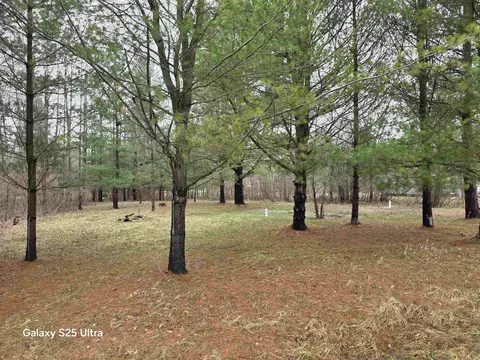 5363 Knightsway #LOT 30 KNIGHTS WAY, Gladwin, MI 48624 photo 3