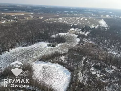 Lovejoy, Perry, MI 48872 photo 2