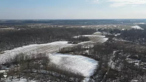 Lovejoy, Perry, MI 48872 photo 5
