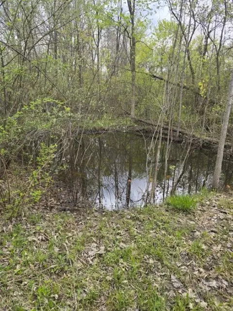 View/Area - 2119 E Vienna, Clio, MI 48420 photo 14 of 15