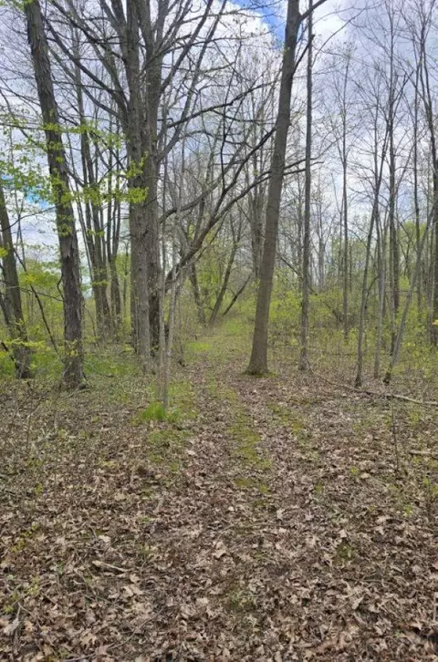 Other - 2119 E Vienna, Clio, MI 48420 photo 13 of 14
