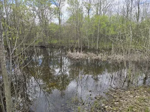 View/Area - 2119 E Vienna, Clio, MI 48420 photo 13 of 15