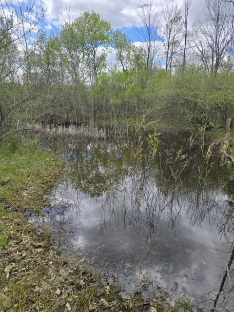 View/Area - 2119 E Vienna, Clio, MI 48420 photo 15 of 15