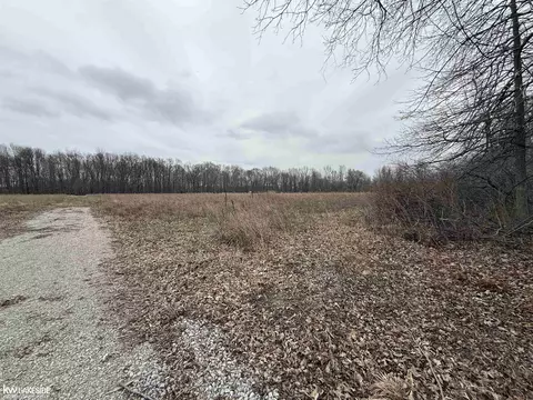 0 Cove Rd, Goodells, MI 48027 photo 6