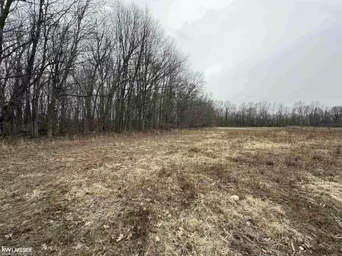 0 Cove Rd, Goodells, MI 48027 photo 20