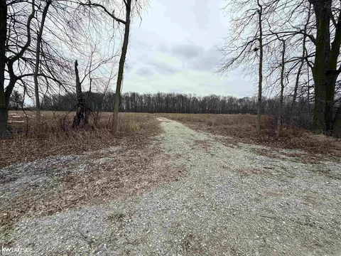 0 Cove Rd, Goodells, MI 48027 photo 2