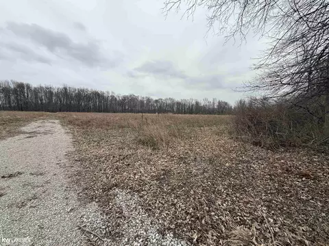 0 Cove Rd, Goodells, MI 48027 photo 4