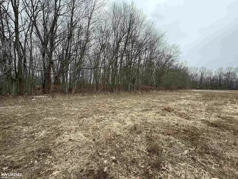 0 Cove Rd, Goodells, MI 48027 photo 19
