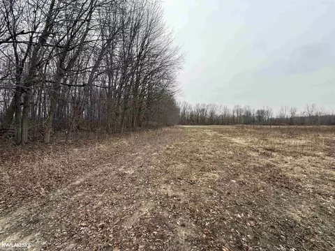 0 Cove Rd, Goodells, MI 48027 photo 11