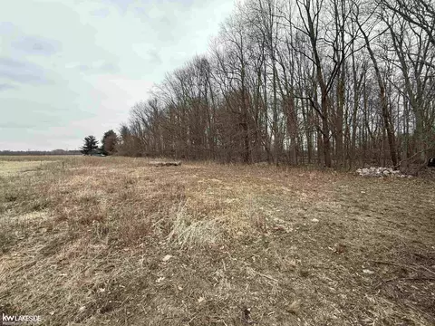 0 Cove Rd, Goodells, MI 48027 photo 14