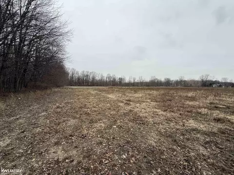 0 Cove Rd, Goodells, MI 48027 photo 12