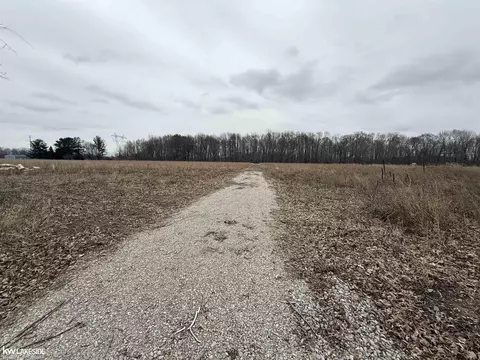 0 Cove Rd, Goodells, MI 48027 photo 10