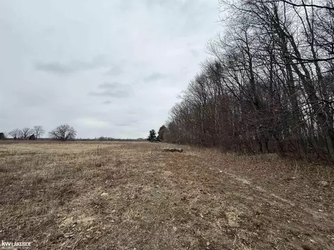 0 Cove Rd, Goodells, MI 48027 photo 23