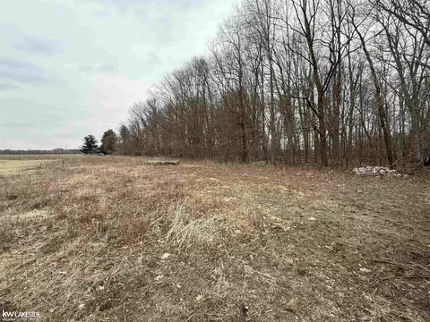 0 Cove Rd, Goodells, MI 48027 photo 16