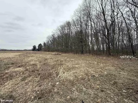 0 Cove Rd, Goodells, MI 48027 photo 18
