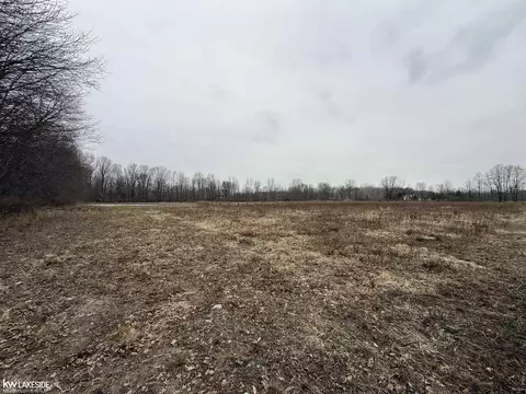 0 Cove Rd, Goodells, MI 48027 photo 13