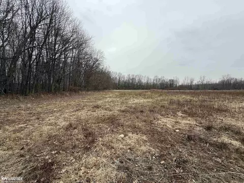 0 Cove Rd, Goodells, MI 48027 photo 17
