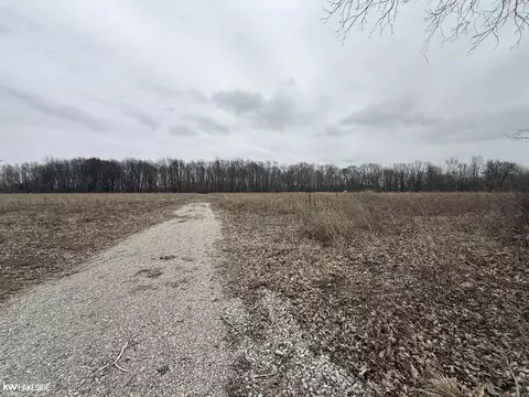 0 Cove Rd, Goodells, MI 48027 photo 7