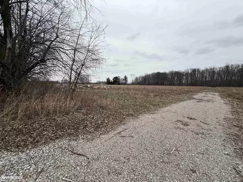 0 Cove Rd, Goodells, MI 48027 photo 8
