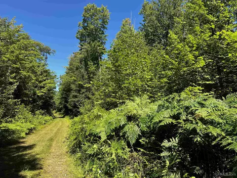 56 Acres Halverson, Skandia, MI 49885