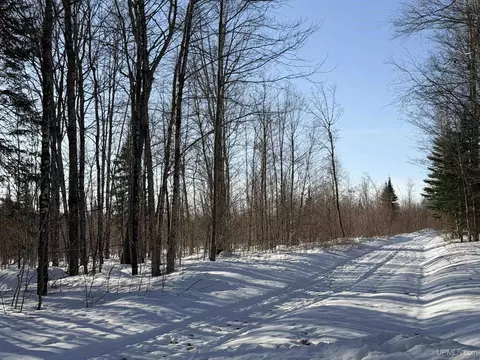 56 Acres Halverson, Skandia, MI 49885