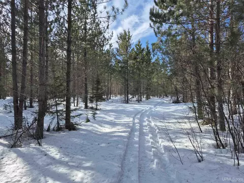 40 Acres Off County Cv, Champion, MI 49814