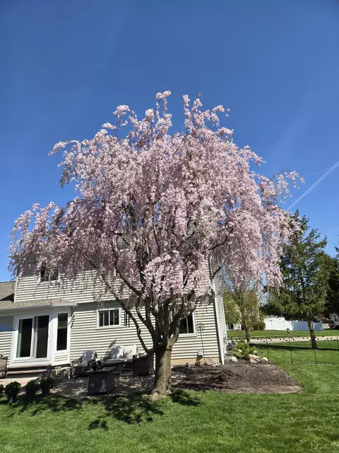 1808 Wind Dancer, Tecumseh, MI 49286 photo 54