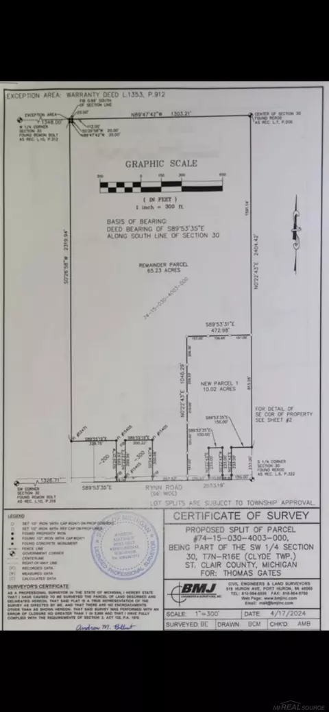 Rynn, Clyde, MI 48049 photo 10