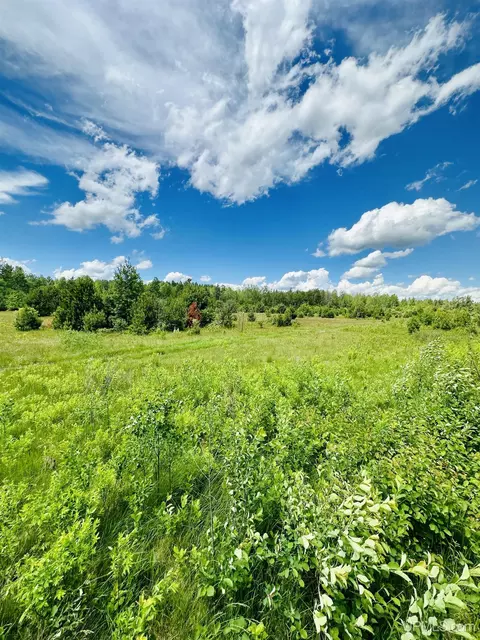 tbd Hawks #PARCEL D, Republic, MI 49879
