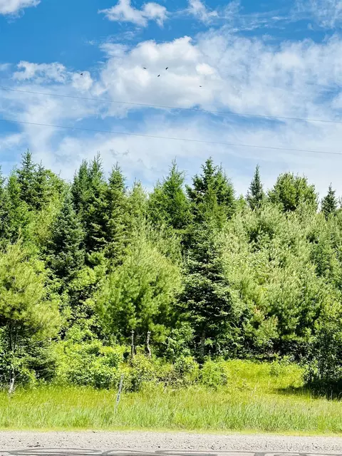 tbd M95, Republic, MI 49879