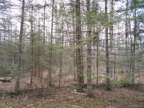 tbd M-28, Newberry, MI 49868