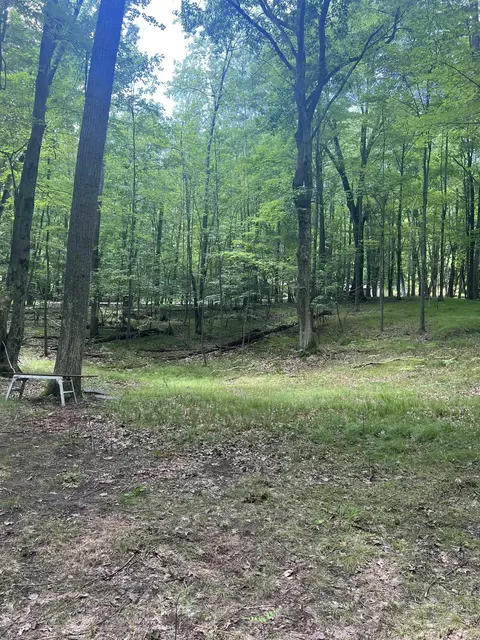 5899 Elm Run, Farwell, MI 48622