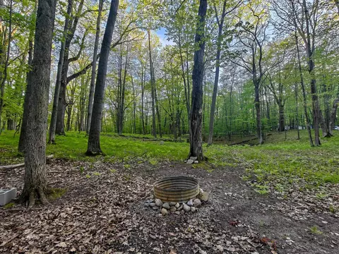 5899 Elm Run, Farwell, MI 48622