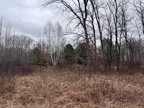 Vl Washington, Perry, MI 48872 photo 8