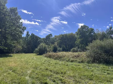 Vl Washington, Perry, MI 48872 photo 12