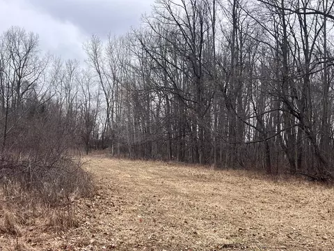 Vl Washington, Perry, MI 48872 photo 20