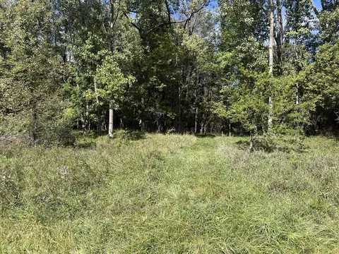 Vl Washington, Perry, MI 48872 photo 6