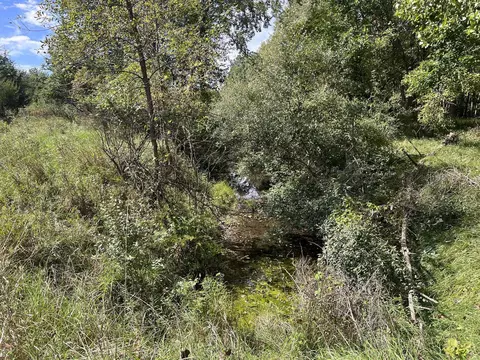 Vl Washington, Perry, MI 48872 photo 7