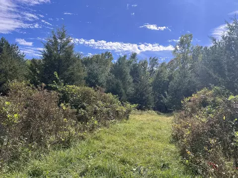 Vl Washington, Perry, MI 48872 photo 14